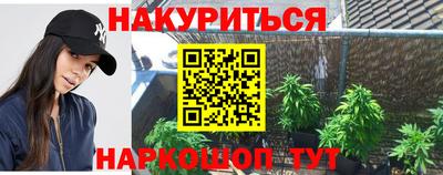 крисы Можга