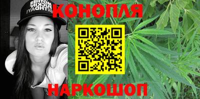 крисы Можга