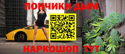крисы Можга
