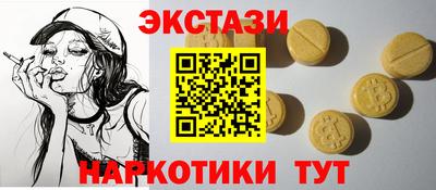 крисы Можга