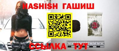 крисы Можга