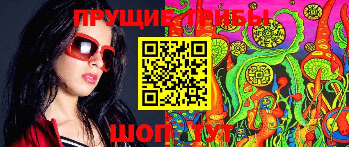 APVP Торжок