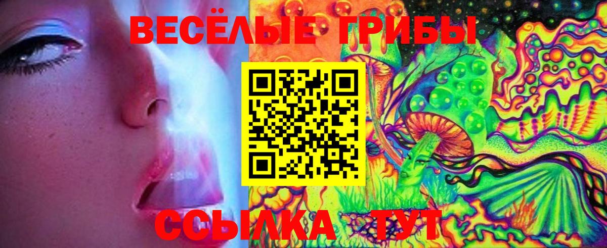 Псилоцибиновые грибы мухоморы Торжок