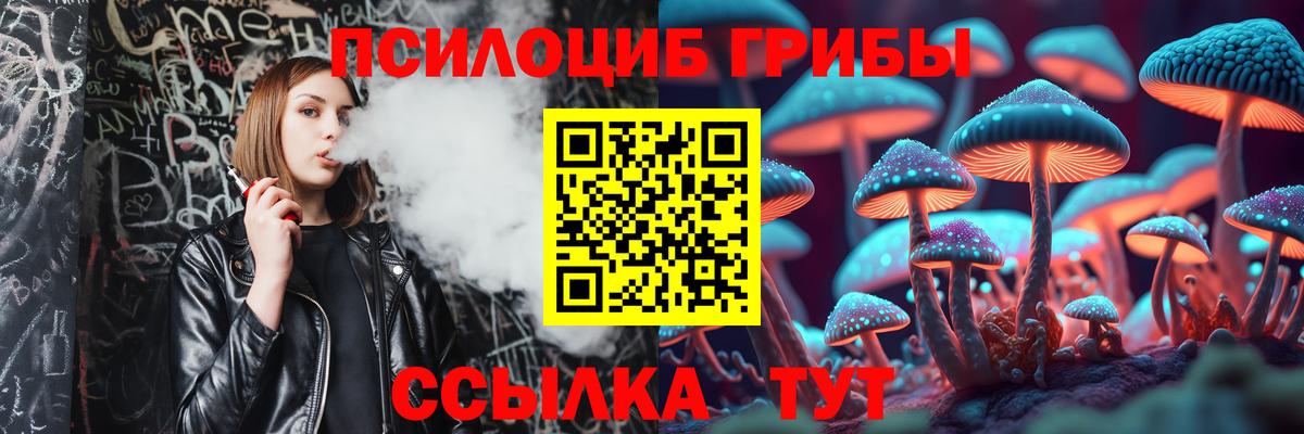Псилоцибиновые грибы MAGIC MUSHROOMS  Вход с VPN  Торжок 