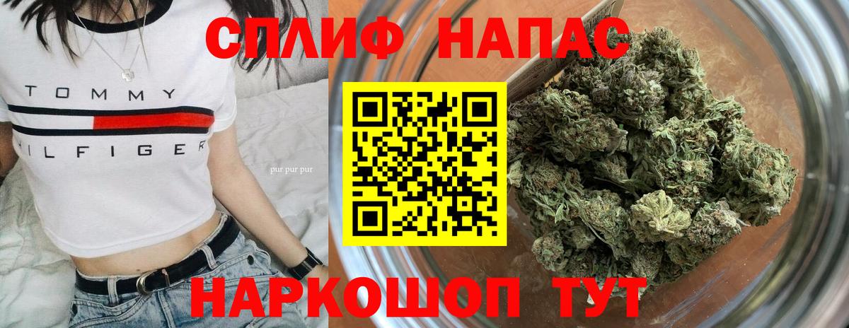 Конопля планчик Торжок